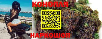 каннабис Новодвинск
