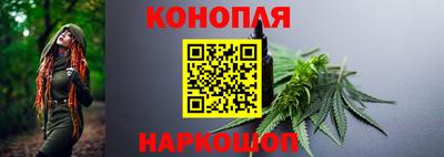 каннабис Новодвинск