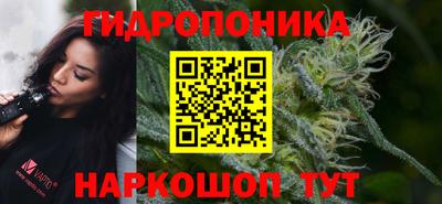 каннабис Новодвинск